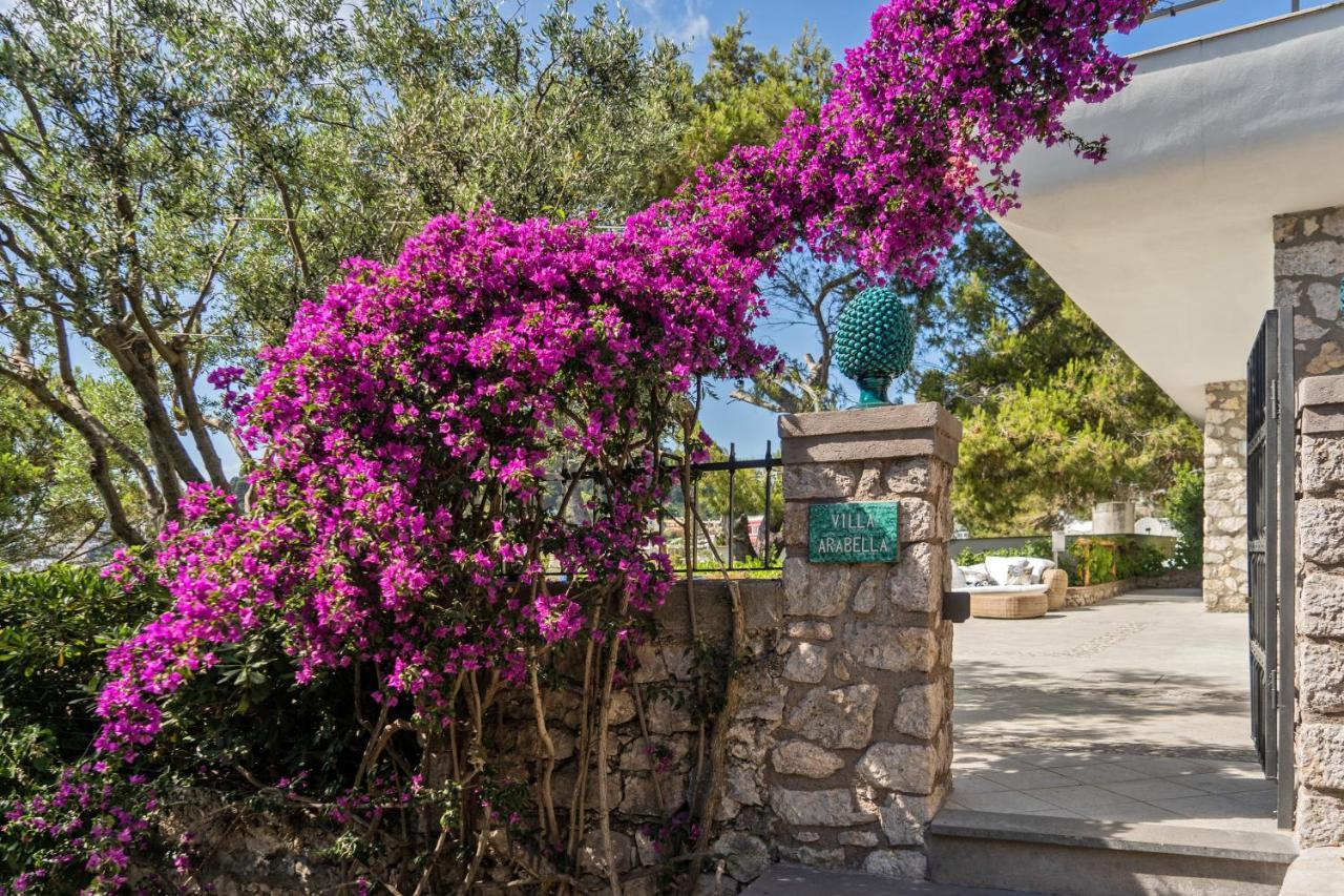 Villa Arabella Capri Eksteriør bilde